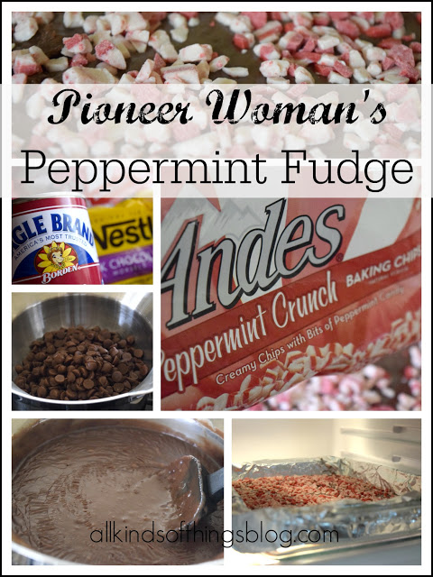 Peppermint Fudge